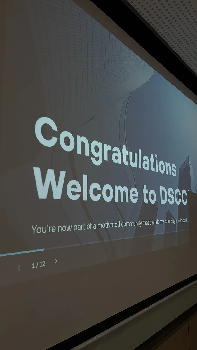 DSCC Gallery Photo